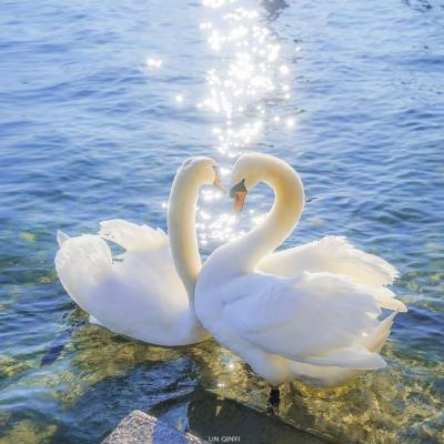 17%，15%……从腾讯京东阿里百度四大平台Q4广告营收增速，看懂广告行业发展趋势