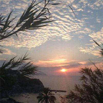 长城消费增值混合C净值上涨3.85%